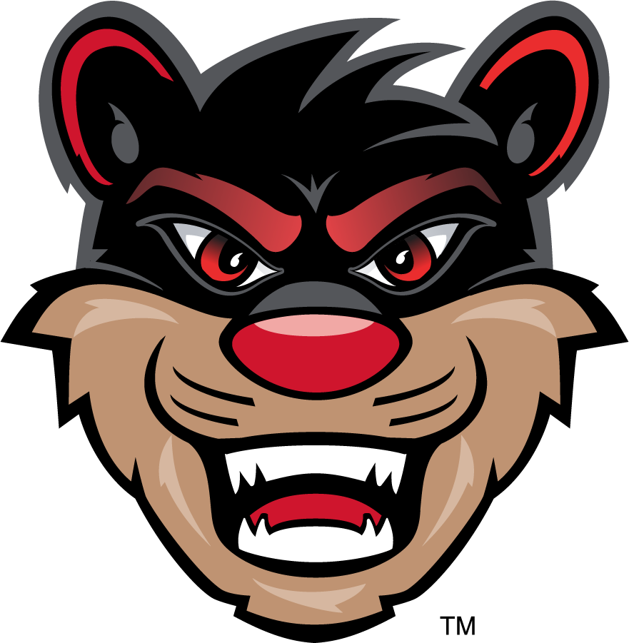 Cincinnati Bearcats 2010-Pres Mascot Logo iron on transfers for T-shirts